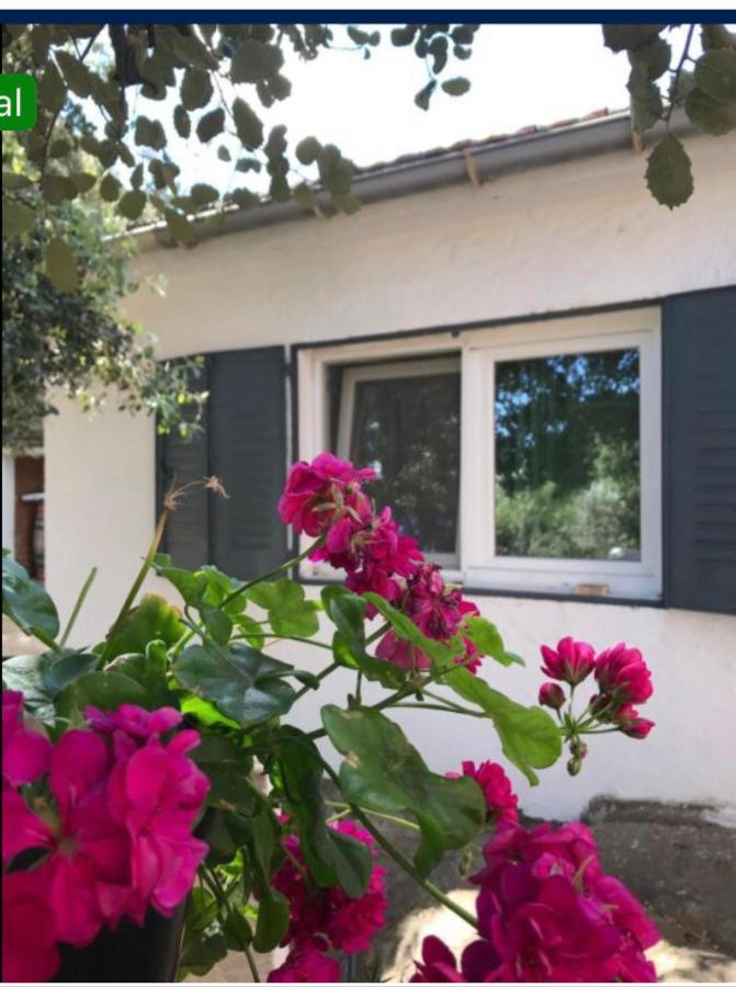 Cabana Jara Y Enebro Collado Villalba Exterior foto